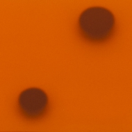Акрил оранжевый матовый прозрачный Frozen литой 1.2х0.6х3 мм